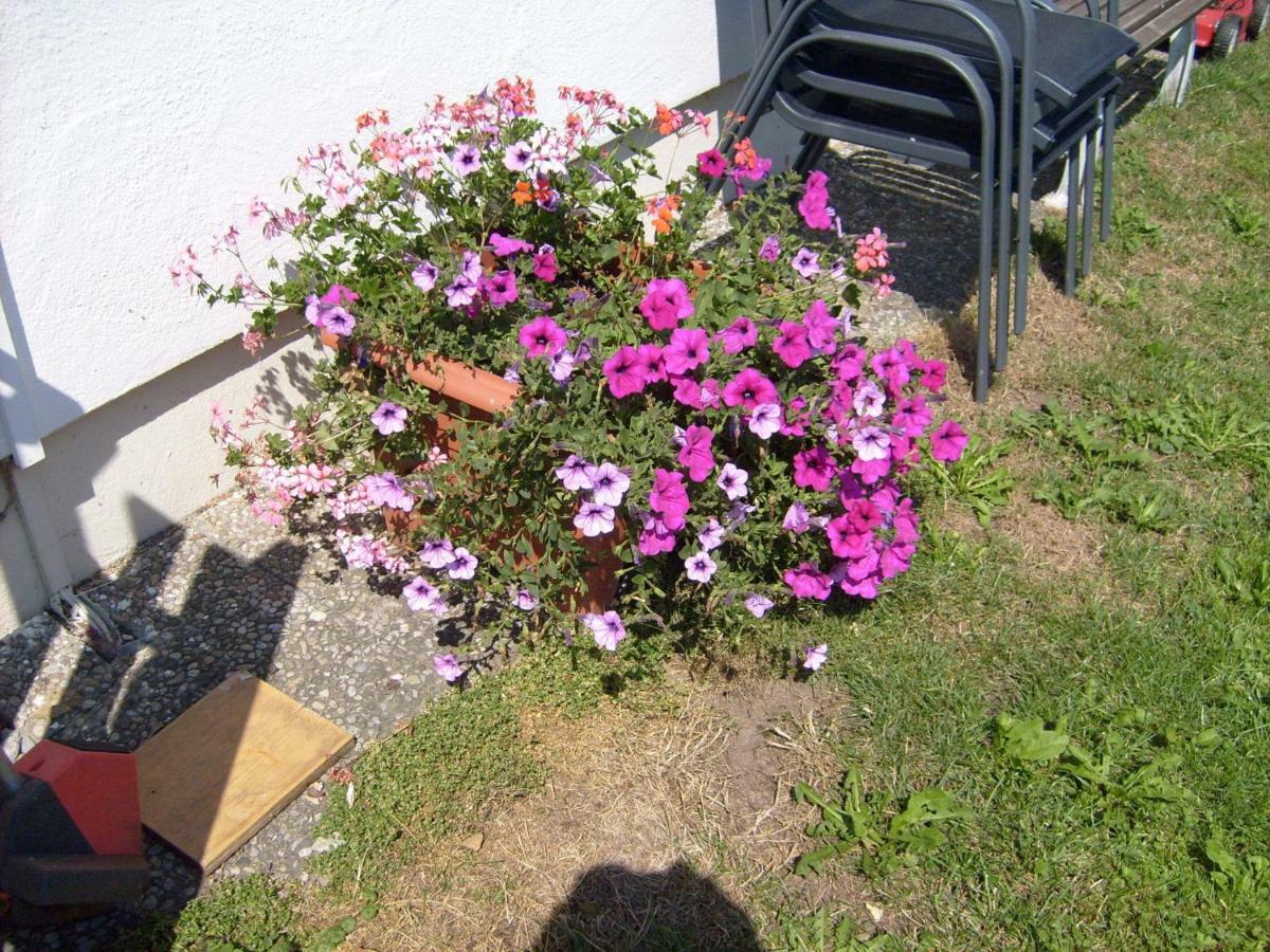 Haus Hoerger Apartman Maierhöfen Szoba fotó